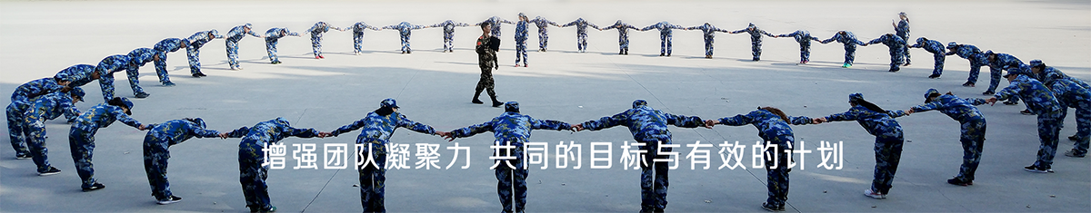 团队凝聚力
